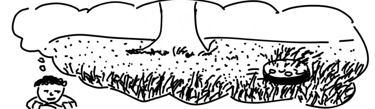Imagining a mowing Roomba